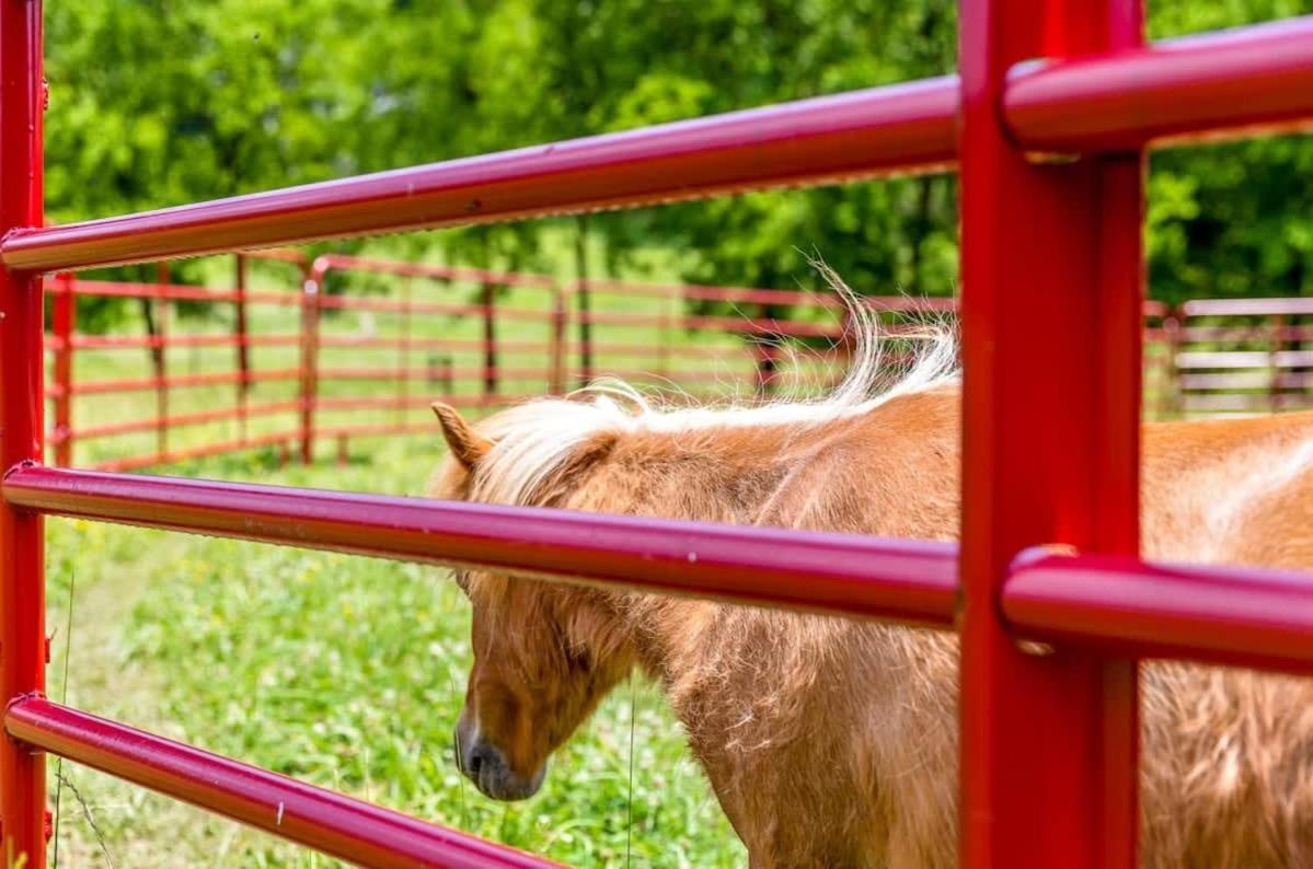 Farm Stay W Pool - 15 Mins To Chattanooga- Tiny 2 Wildwood  Luaran gambar